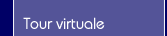 Tour virtuale